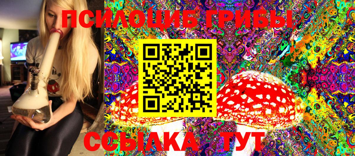 Псилоцибиновые грибы Cubensis Минеральные Воды